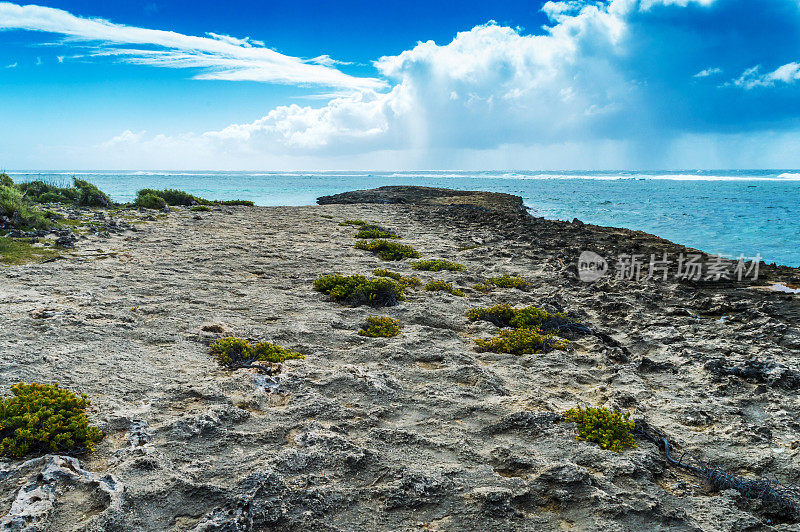 Pointe Coton Corals，罗德里格斯岛，毛里求斯